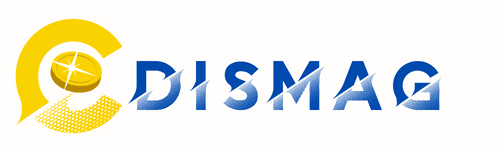 Conseil en transformation digital – Stratégie marketing| CDISMAG Logo